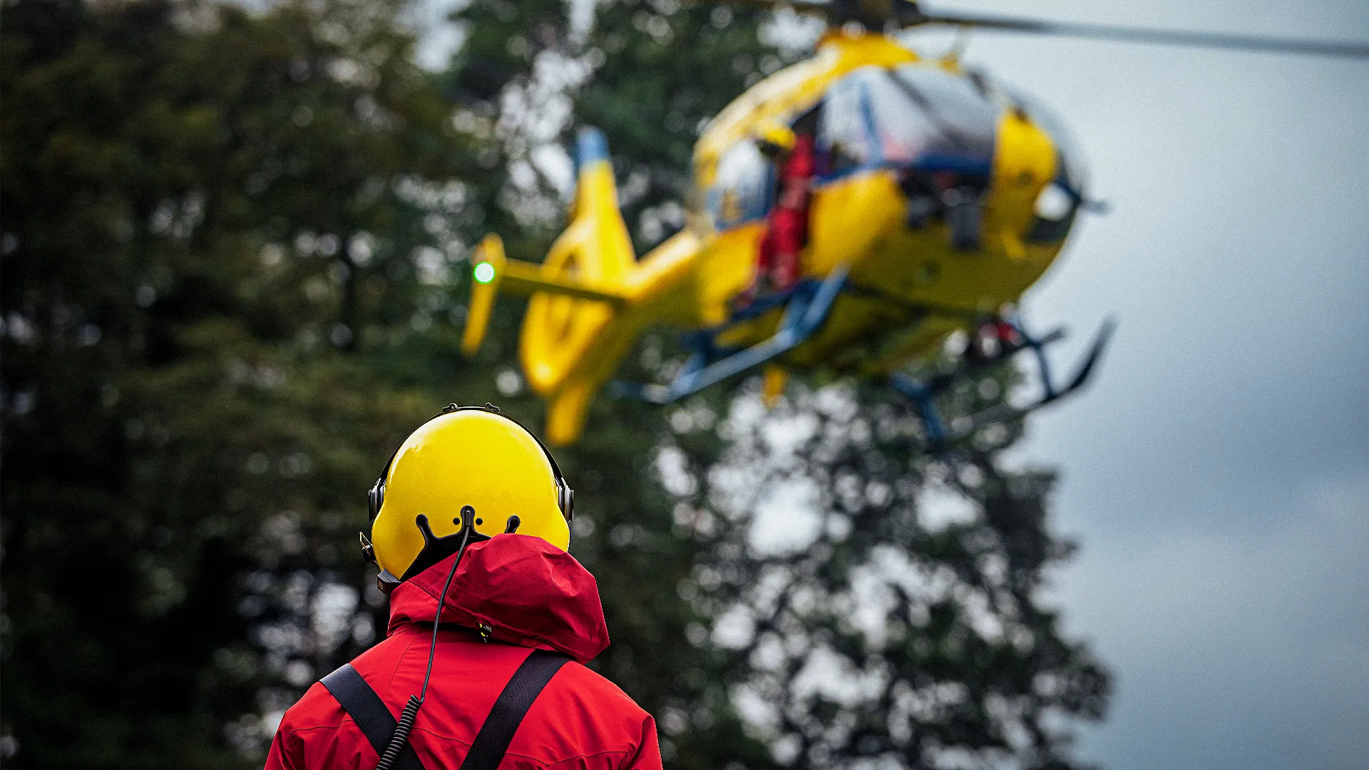 Eine Person mit gelbem Helm und roter Jacke beobachtet einen gelben Hubschrauber, der in einem bewaldeten Gebiet landet oder startet.